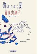 熟れてゆく夏(文春文庫)