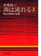 炎は流れる（３）　明治と昭和の谷間(文春文庫)