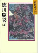 徳川慶喜(3)(山岡荘八歴史文庫)