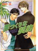 罪つくりな契約