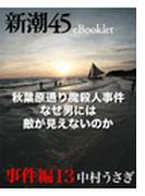 秋葉原通り魔殺人事件 なぜ男には敵が見えないのか―新潮45eBooklet 事件編13(新潮45eBooklet)