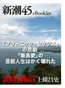 『プラトニック・セックス』の悲劇 「飯島愛」の芸能人生はかく壊れた―新潮45eBooklet 裏情報編5(新潮45eBooklet)