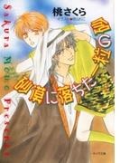 砂漠に落ちた一粒の砂(キャラ文庫)