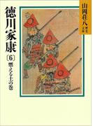 徳川家康（6）　燃える土の巻(山岡荘八歴史文庫)