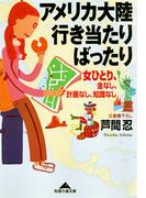 アメリカ大陸行き当たりばったり～女ひとり、金なし、計画なし、知識なし～(知恵の森文庫)