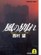 風の別れ(光文社文庫)