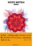 gggBooks 45　松井桂三(世界のグラフィックデザイン)