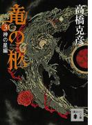 竜の柩(3)　神の星編(講談社文庫)