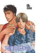 天使の贈り物(B-cube)