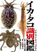 イカ・タコ識別図鑑(釣り人のための遊遊さかなシリーズ)