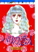 パリの恋人(フィールコミックス)