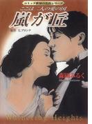 嵐が丘―ここは二人の愛の国(ジュールコミックス)