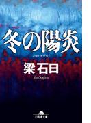 冬の陽炎(幻冬舎文庫)