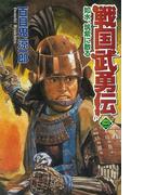 戦国武勇伝 2(歴史群像新書)