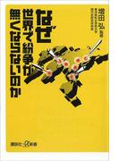 なぜ世界で紛争が無くならないのか(講談社＋α新書)