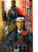 新豊臣戦国志1(歴史群像新書)