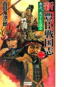 新豊臣戦国志2(歴史群像新書)