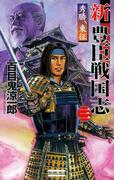 新豊臣戦国志3(歴史群像新書)