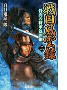 戦国風雲録 二(歴史群像新書)