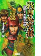 戦国風雲録 三(歴史群像新書)