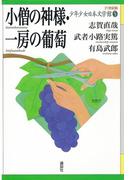 小僧の神様・一房の葡萄(21世紀版少年少女日本文学館)