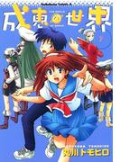 成恵の世界(9)(角川コミックス・エース)