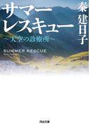 サマーレスキュー ～天空の診療所～