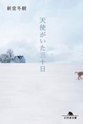 天使がいた三十日(幻冬舎文庫)