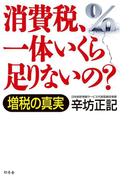 消費税、一体いくら足りないの？　増税の真実(幻冬舎単行本)