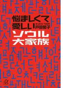 悩ましくて愛しいソウル大家族(講談社＋α文庫)
