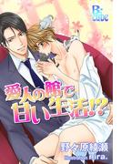 愛人の館で甘い生活！？(B-cube)