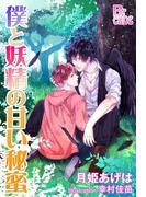 僕と妖精の甘い秘蜜(B-cube)