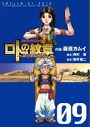 ドラゴンクエスト列伝 ロトの紋章～紋章を継ぐ者達へ～9巻(ヤングガンガンコミックス)