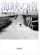 海峡の南(文春文庫)