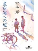 星宿海への道(幻冬舎文庫)