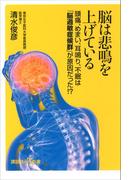 脳は悲鳴を上げている　頭痛、めまい、耳鳴り、不眠は「脳過敏症候群」が原因だった！？(講談社＋α新書)