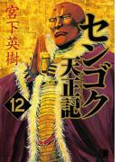 センゴク天正記（12）