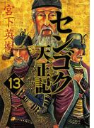 センゴク天正記（13）