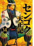 センゴク天正記（14）