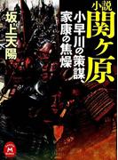 小説 関ヶ原(学研Ｍ文庫)