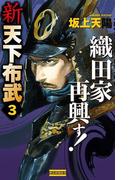 新 天下布武 3(歴史群像新書)