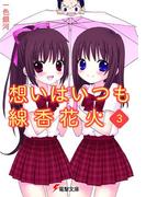 想いはいつも線香花火（3）(電撃文庫)
