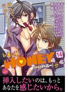 b-BOY HONEY （14） エロ合体特集(b-BOY HONEY)