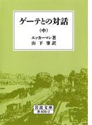 ゲーテとの対話　中(岩波文庫)