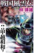 戦国風雲伝 2(歴史群像新書)