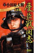 慶長戦国志1(歴史群像新書)
