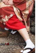 妄想人妻コレクションVol.05