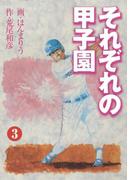 それぞれの甲子園2