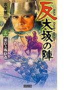 反 大坂の陣 3(歴史群像新書)
