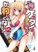 Re:俺のケータイなんてかわいくない！2(一迅社文庫)